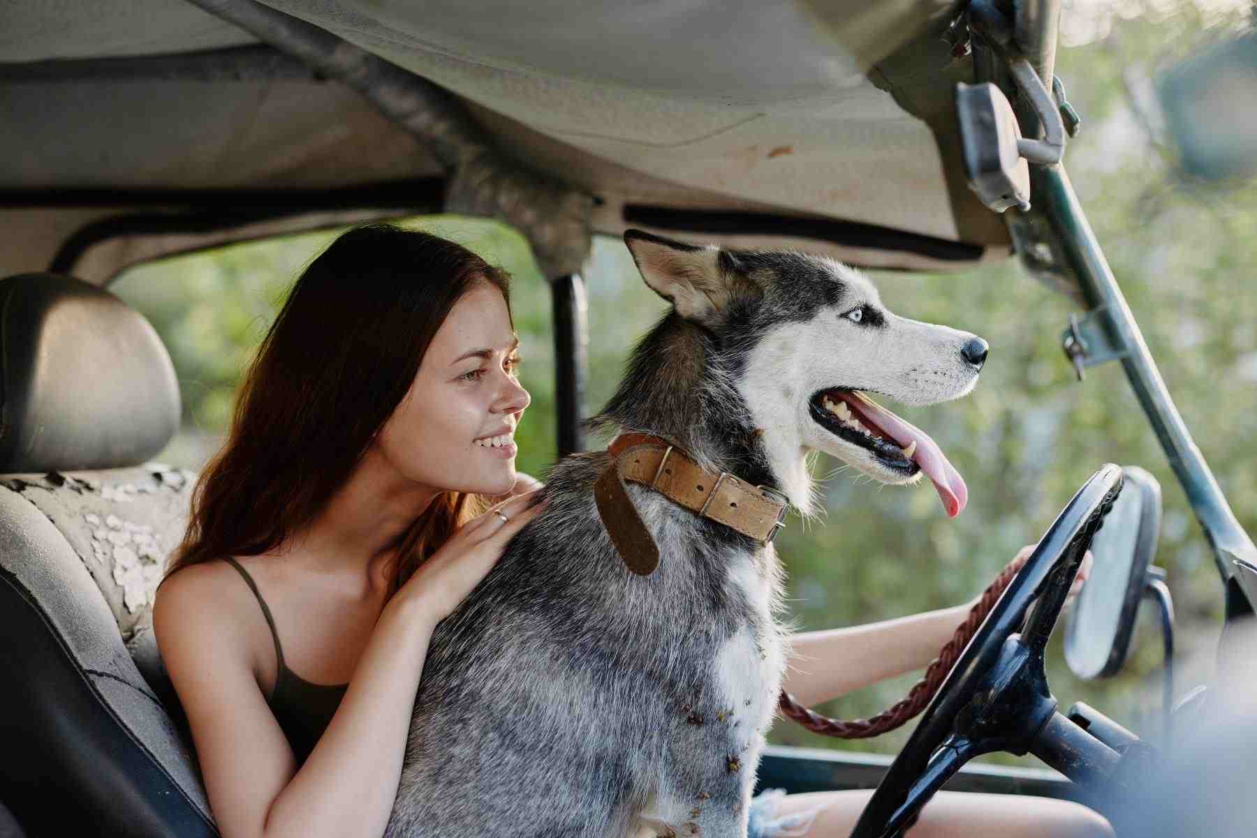 Pedir Presupuesto: Combinar tu Seguro de Coche y el Seguro de Hogar tiene recompensa